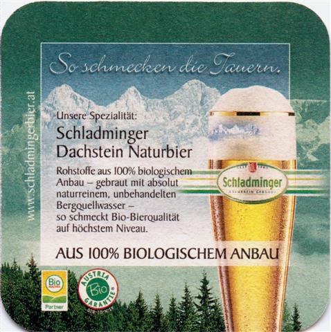 schladming st-a schladminger quad 2b (185-dachstein naturbier)